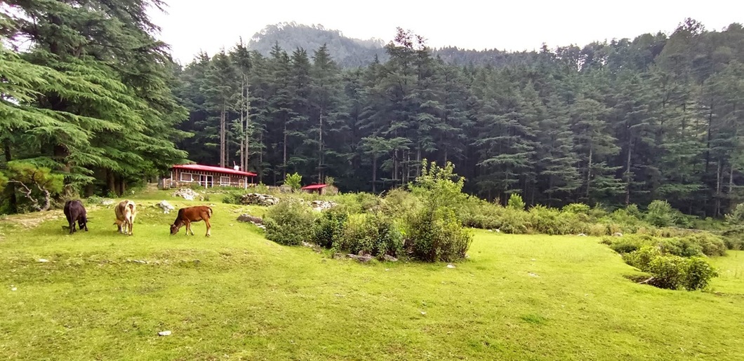 ECO Park Mussoorie